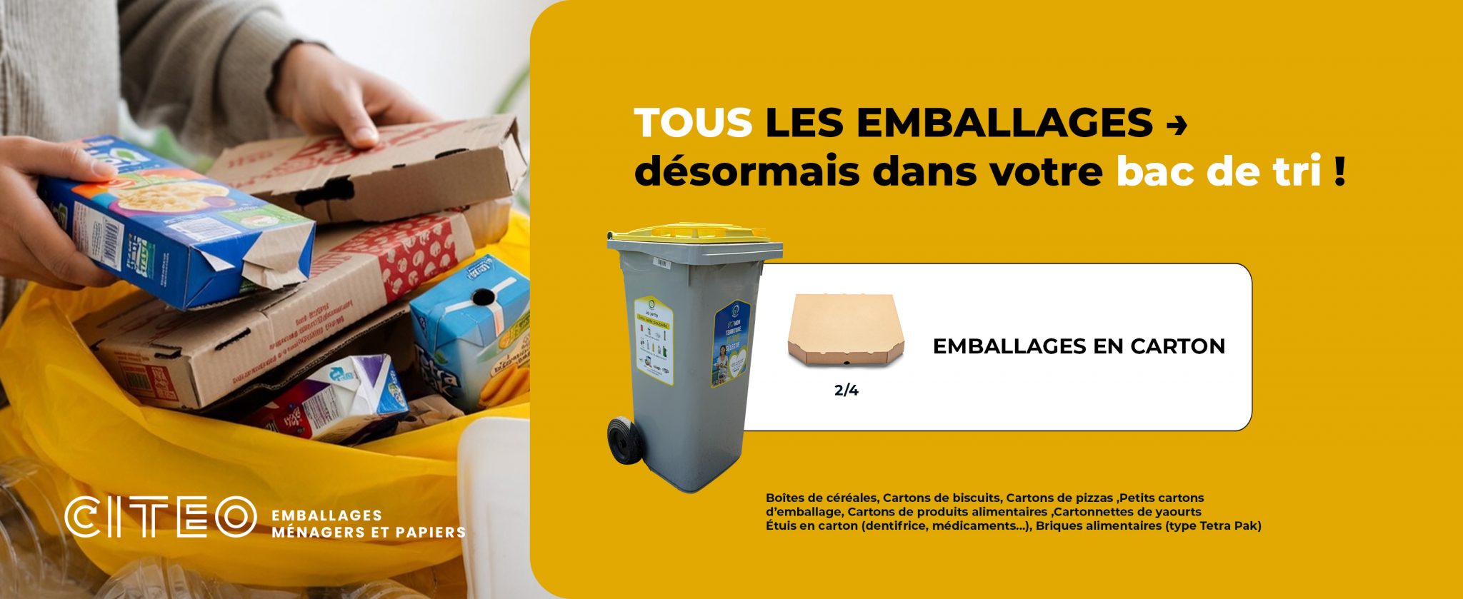 2_Emballages en carton